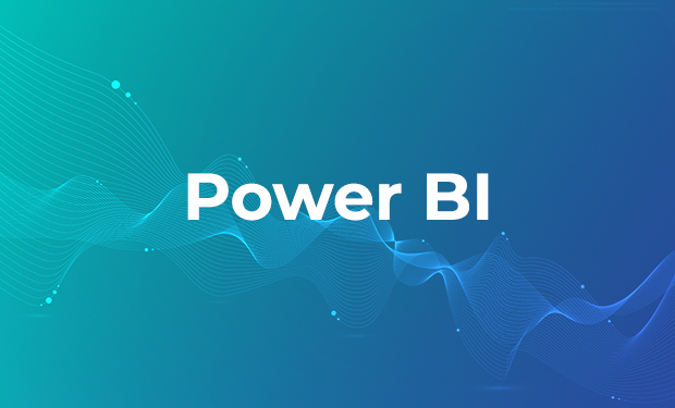 Microsoft Power BI Professional Training Program