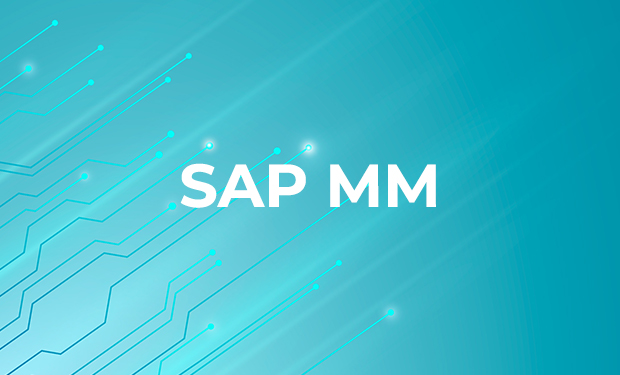 SAP MM (Material Management) Training